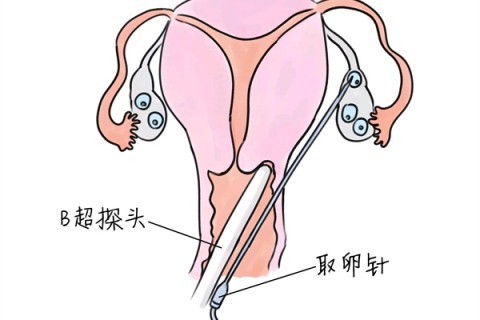http://dongguan.huochezhan.net/post/205.html|东莞供卵助孕