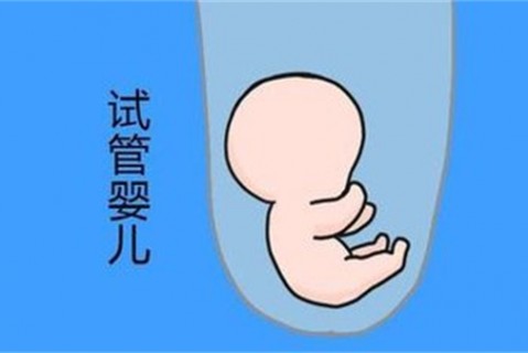 培养东莞捐卵宝宝艺术细胞的小技巧