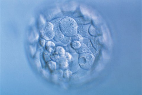 http://dongguan.huochezhan.net/post/200.html|东莞新闻中心